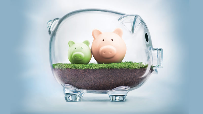 dois mealheiros poupanca