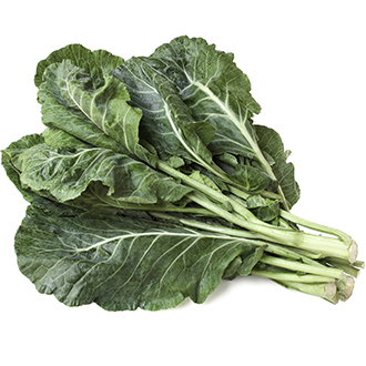 Galega