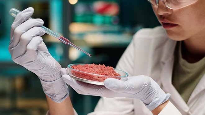 Carne de laboratório