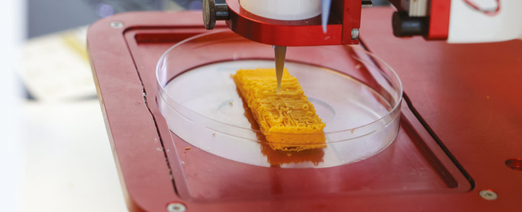 Posta de robalo em 3d a ser produzida em laboratório