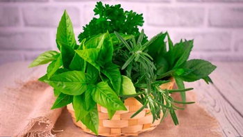 Cesto com ervas aromáticas em cima de uma mesa de madeira