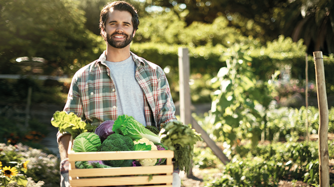 Homem numa horta a carregar uma caixa com vários tipos de couve