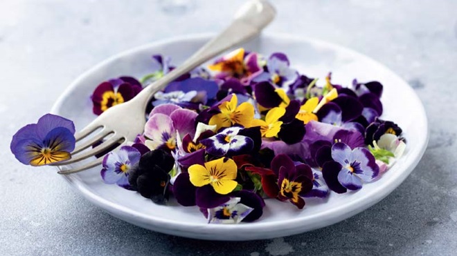 prato com amores-perfeitos de várias cores e um garfo