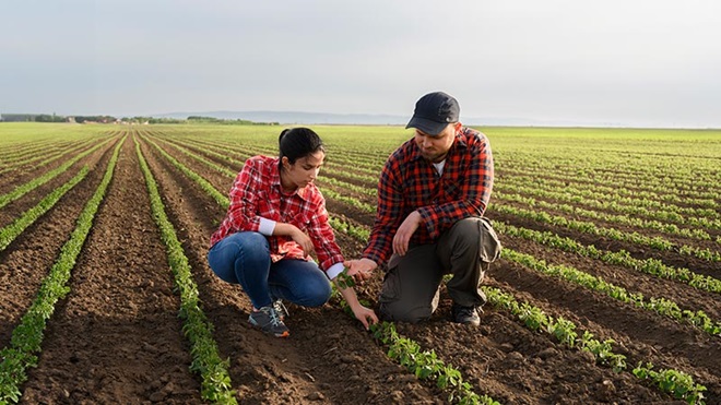 agricultor a pousar um molho de cenouras numa bancada com frutos e legumes locais