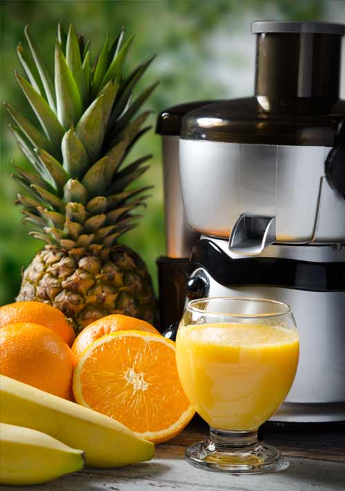 Equipamentos para fazer sumos de fruta - extrator de sumo horizontal