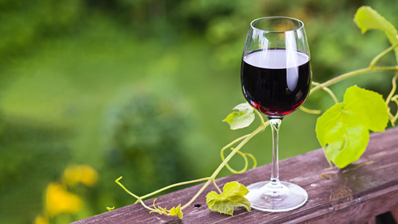 Copo de vinho tinto de vidro com folha de videira enrolada e fundo verde (paisagem) ao fundo; o copo está sobre uma mesa de madeira