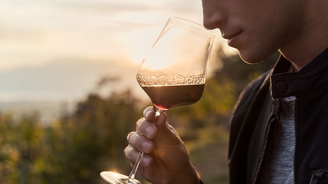 grande plano de um nariz de um homem a cheirar o aroma de um copo de vinho tinto, em frente a uma vinha