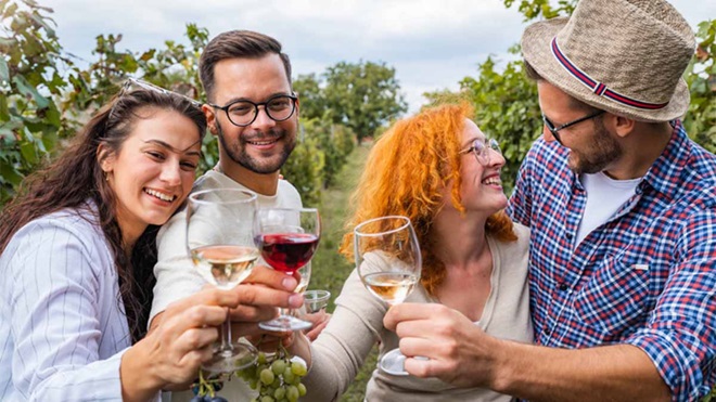 grupo de amigos a brindar com copos de vinho tinto e branco 