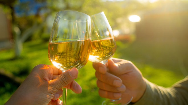 Brinde com vinho branco numa vinha ao pôr do sol