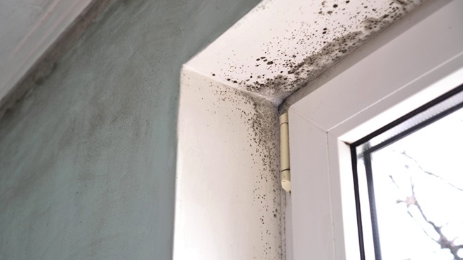 Parede com humidade junto à janela no canto superior esquerdo.