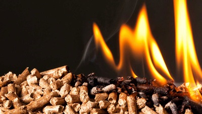 Como escolher a salamandra a pellets