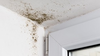 humidade e bolor no teto de uma habitação