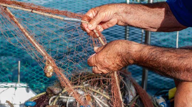 Redes de pesca