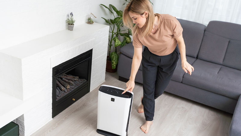 desumidificadores grandes