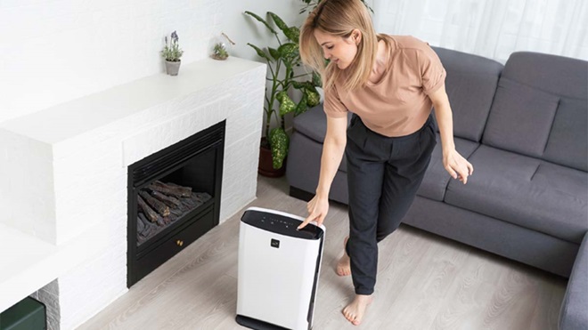 desumidificadores grandes