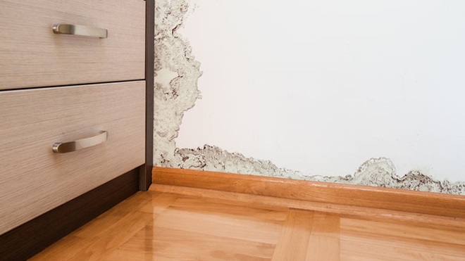 parede com sinais de humidade