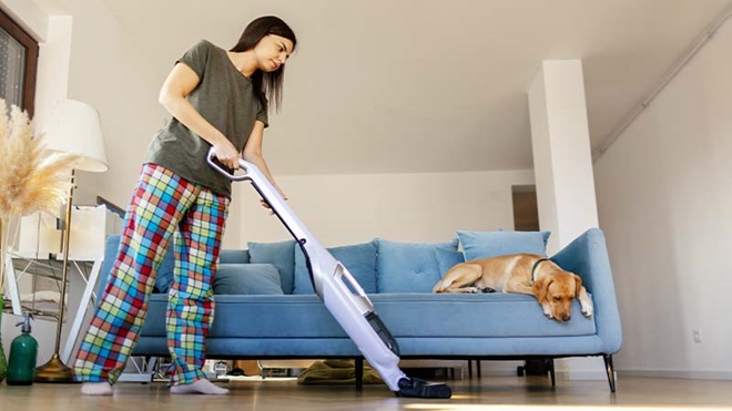 Mulher a aspirar a casa com aspirador vertical sem fios; cão em cima do sofá, observa a cena