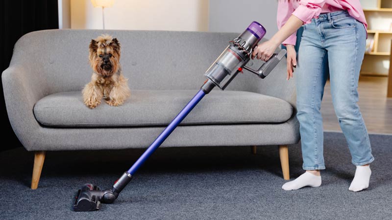 pessoa a aspirar a sala com um aspirador vertical sem fio e cão em cima do sofá