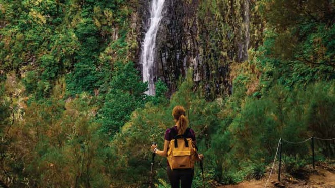 Sofia Cruz a caminhar nas levadas da floresta Laurissilva na Madeira.