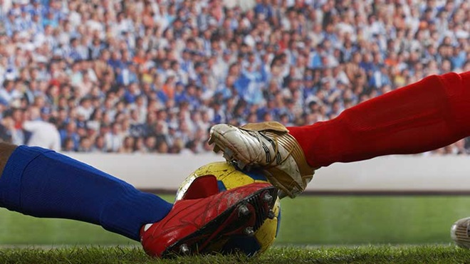 Direitos do espetador: vá à bola sem stress