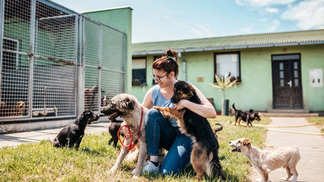Mulher de óculos e cabelo apanhado ajoelhada no chão com vários cães à sua volta, junto a uma box gradeada com cães lá dentro