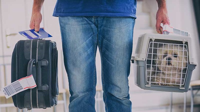 homem no aeroporto com uma mala e o seu cão dentro de uma caixa de transporte