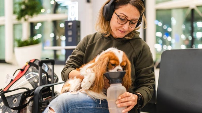 dona a dar de beber ao cão no aeroporto