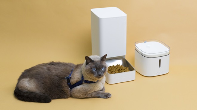 Dispensador de gatos