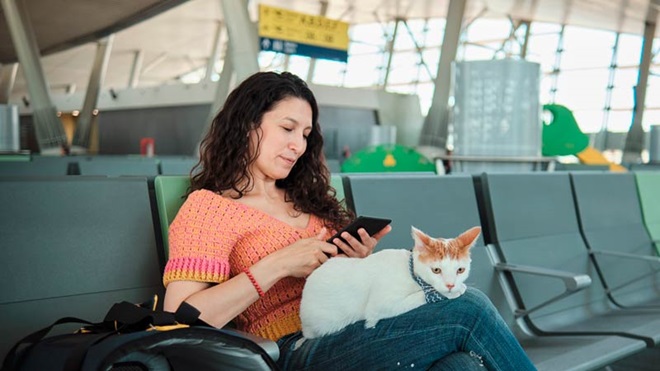 Mulher sentada num aeroporto com um gato ao colo
