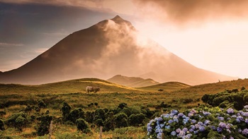 Ilha do Pico