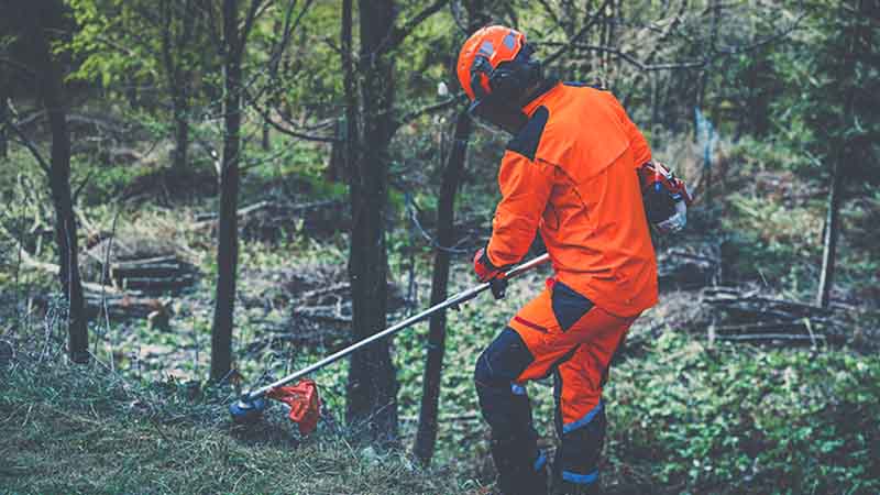 homem com serra elétrica a limpar matas