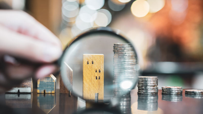 lupa a apontar para um prédio de brincar