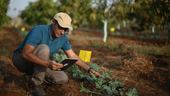 Homem no campo com um tablet na mão
