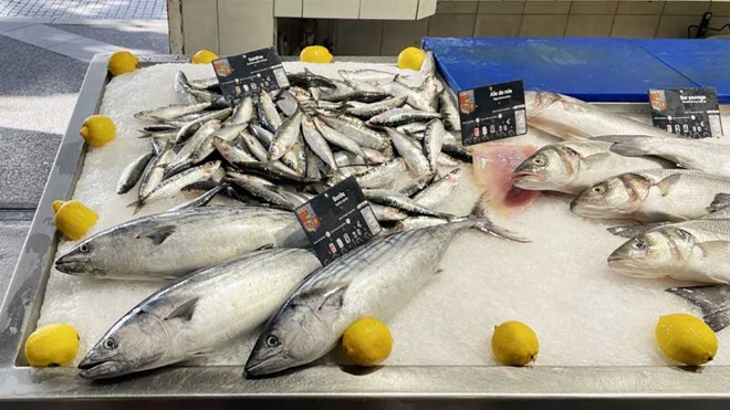 Bancada com peixe para venda