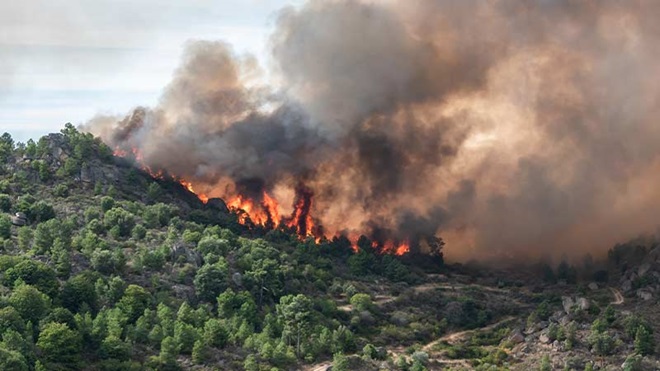 Incêndio em floresta