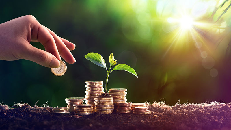 Mão a pôr uma moeda numa pilha de moedas