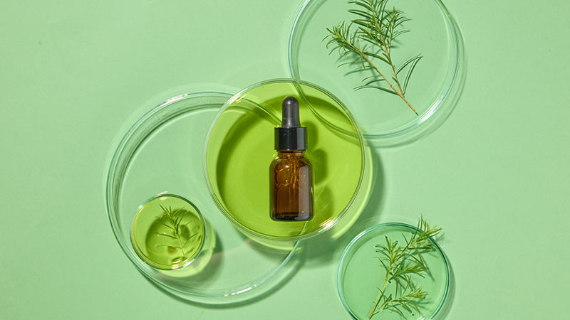 Óleo de árvore de chá num frasco castanho, pequenos recipientes de vidro transparente com amostras da planta por baixo, fundo verde