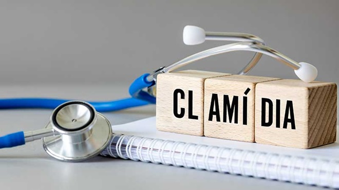 Estetocóspio, caderno e cubos de madeira com a palavra clamídia inscrita
