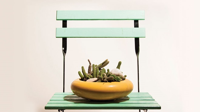 imagem de uma cadeira verde com um vaso amarelo de catos em cima  do assento