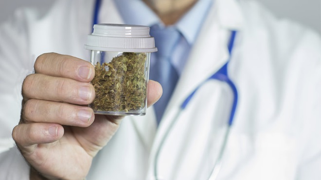 canábis para fins medicinais