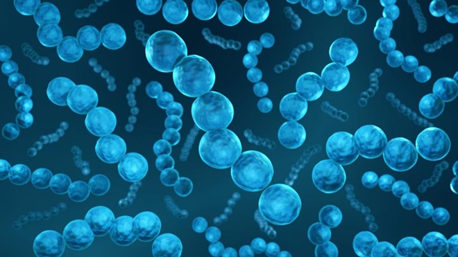 Bactéria Strep A
