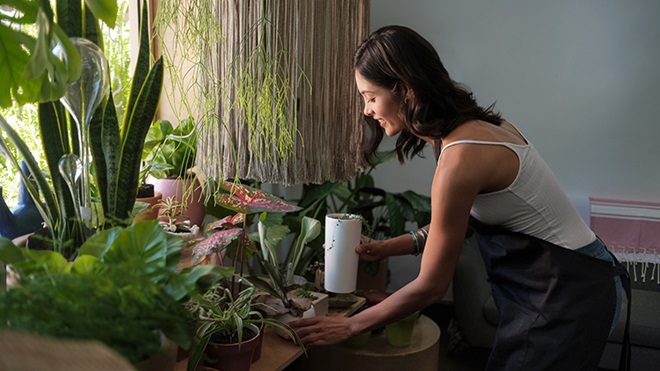 mulher a regar as plantas em casa