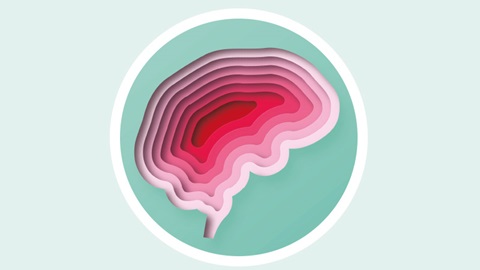 Imagem do evento de saúde mental, cérebro estilizado feito de linhas concêntricas rosa, dentro de um círculo verde claro, com linha exterior a branco