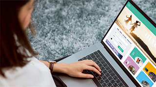 Mulher a usar um portátil sobre um tapete, navegando num site com imagens