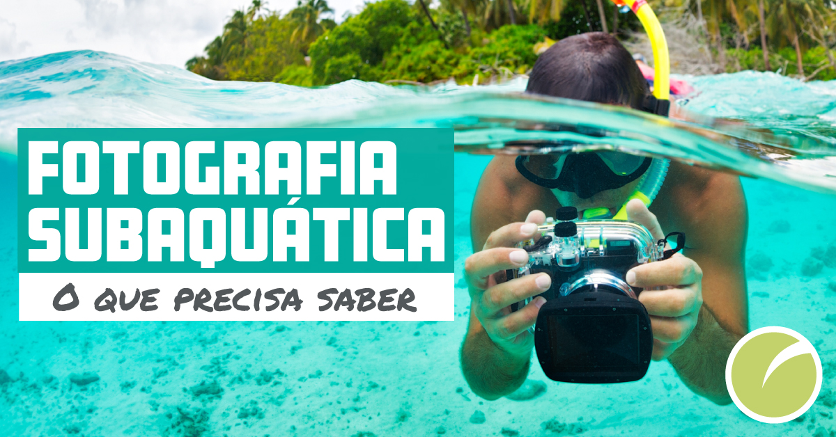Fotografia subaquática: o que precisa de saber