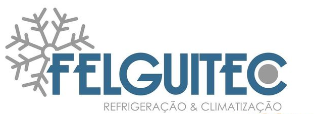 Logo da empresa Felguitec
