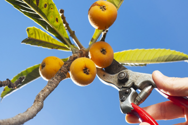 investimento sustentavel