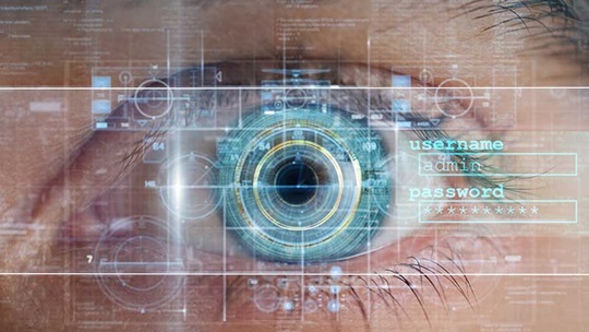 dados biometricos iris
