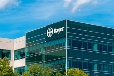 Bayer